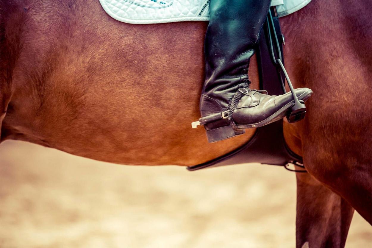 Five Great Rodeos Worth Visiting