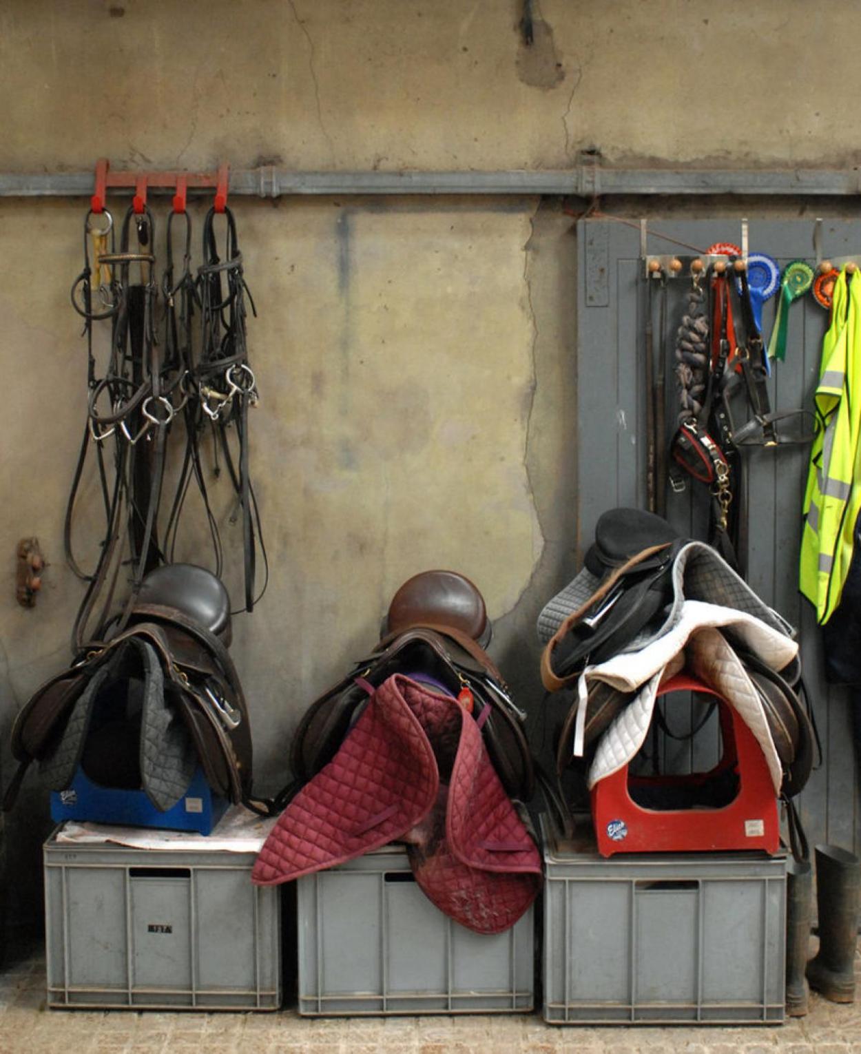 A Glossary For Horse Tack