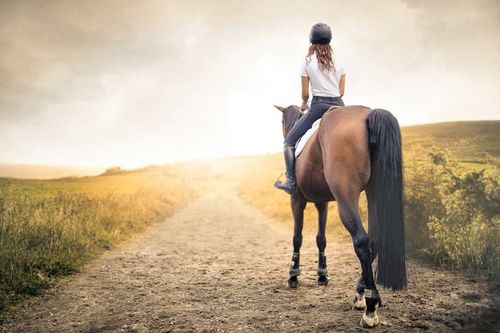 Woman rides a horse on a dirt path