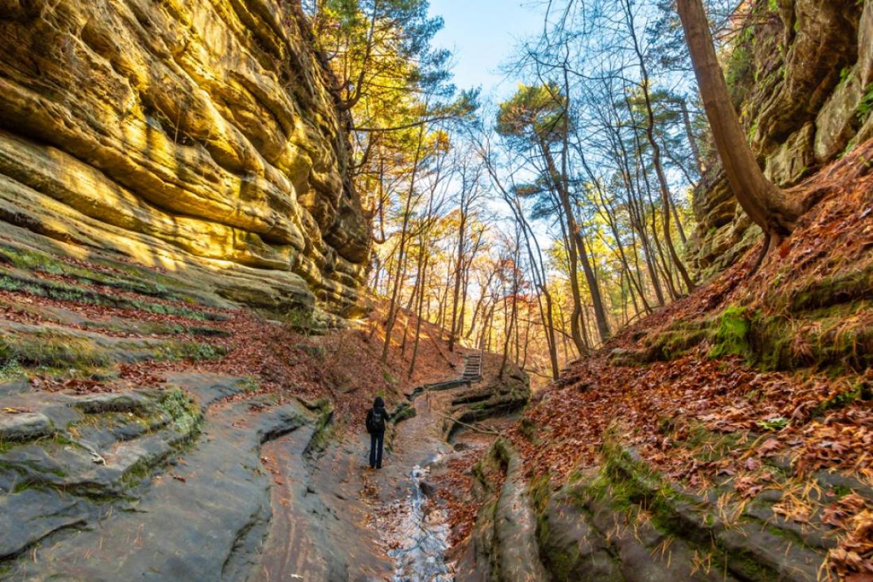 Winding trail through Starved Rock State Park, Illinois