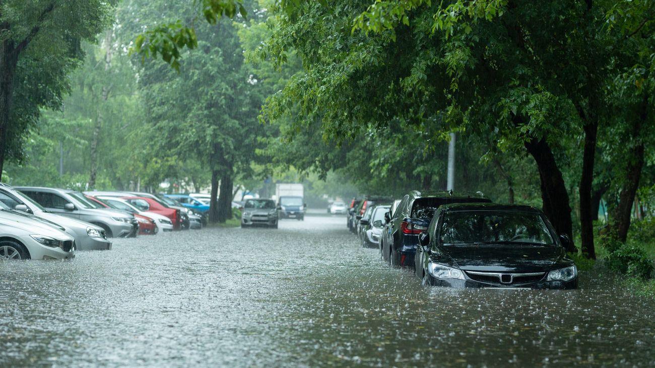 Cars sit in standing water near trees
