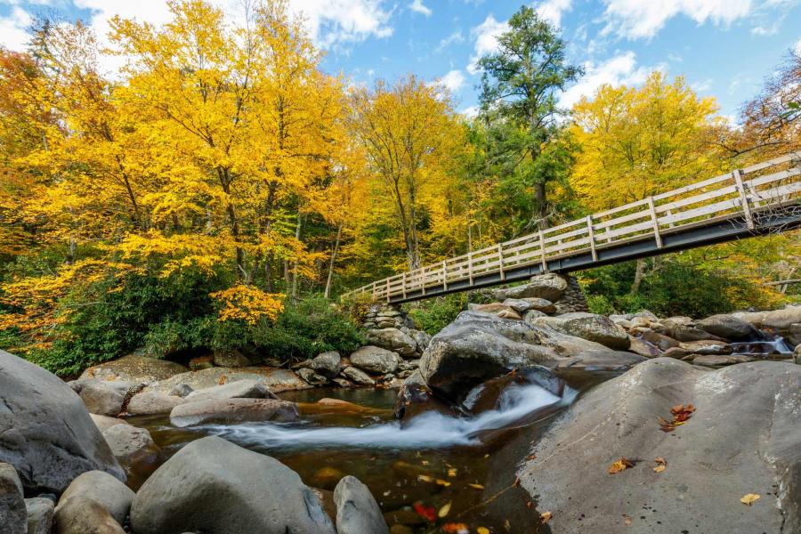 Bridge across a creek with yellow foliage in the background in Great Smoky Mountain National Park