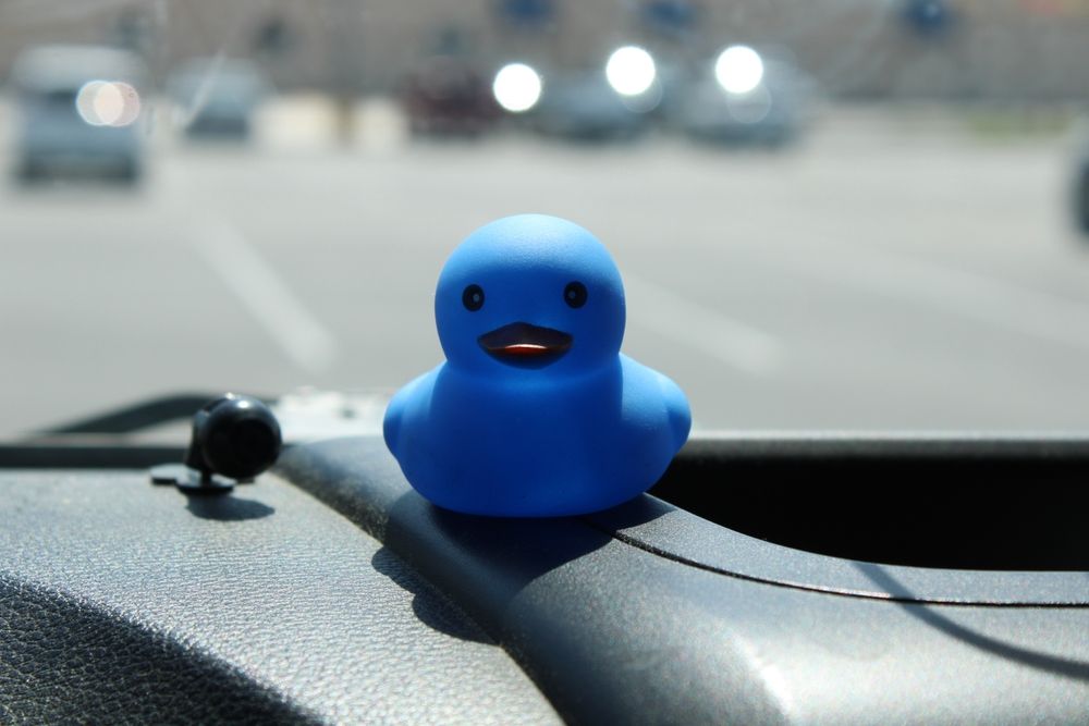 Blue rubber duck on a dashboard