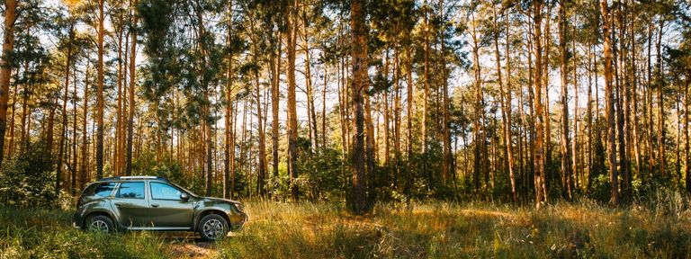 An SUV in a wooded area