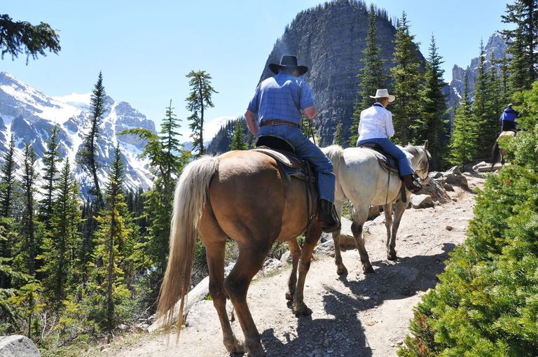Trail Riding Etiquette