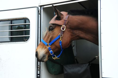 5 horseback riding actors that helped shape entertainment