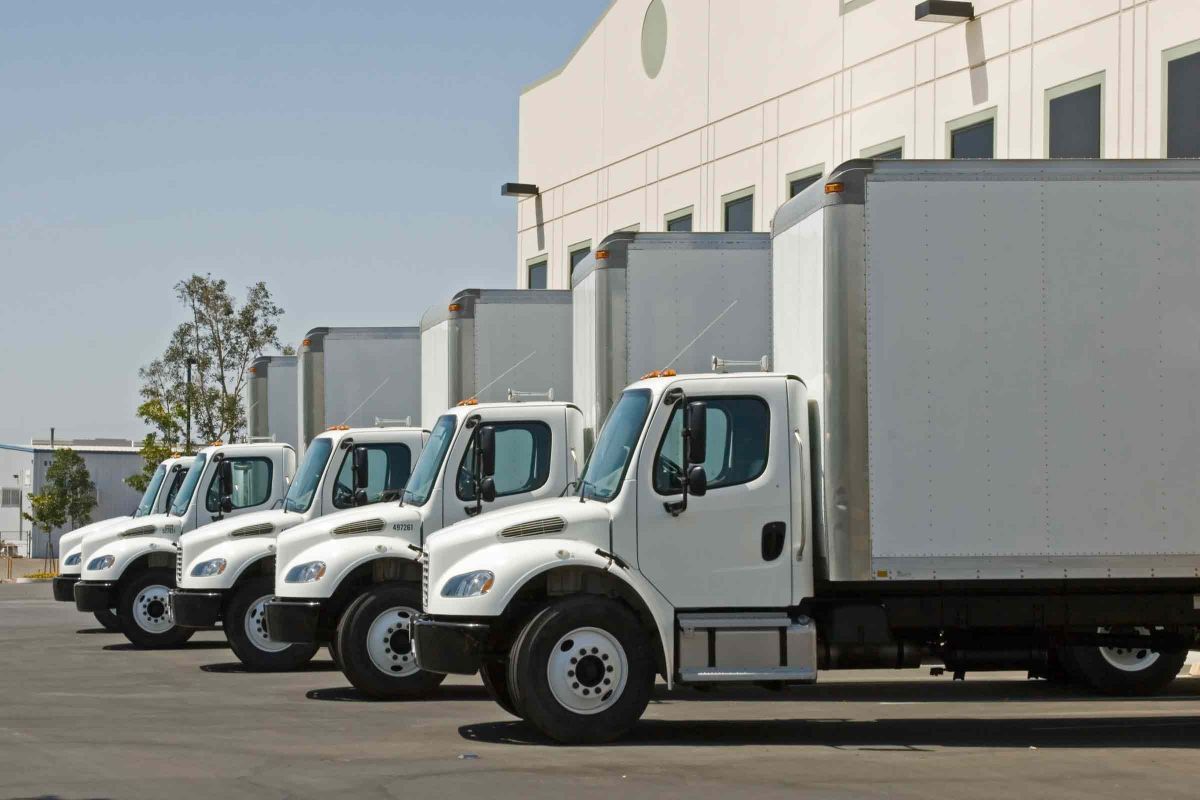 White box trucks lined up
