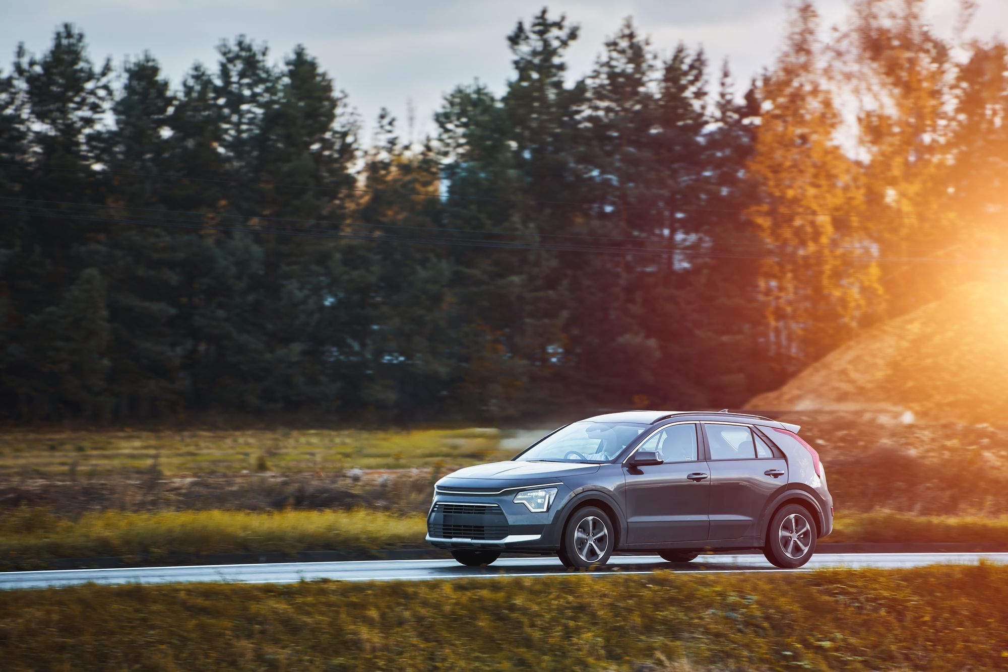 A gray car drives past a forest