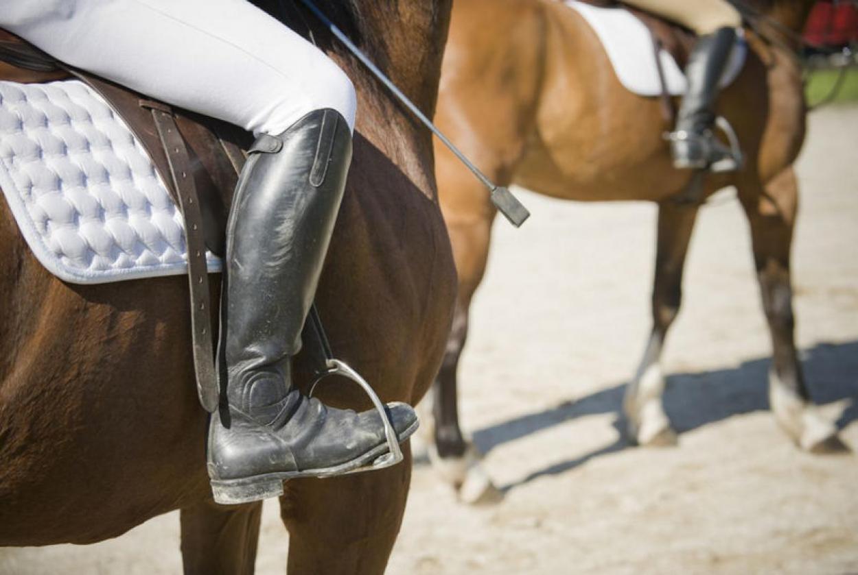 What’s The Difference Between English and Western Riding?