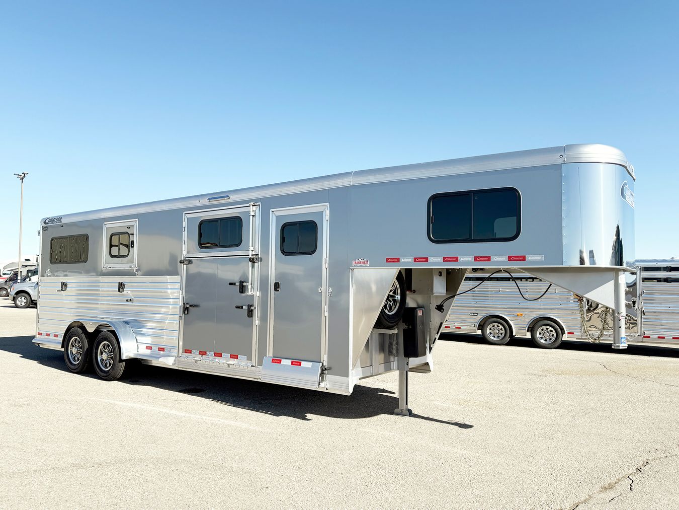 Front quarter of Cimarron Warmblood 2+1