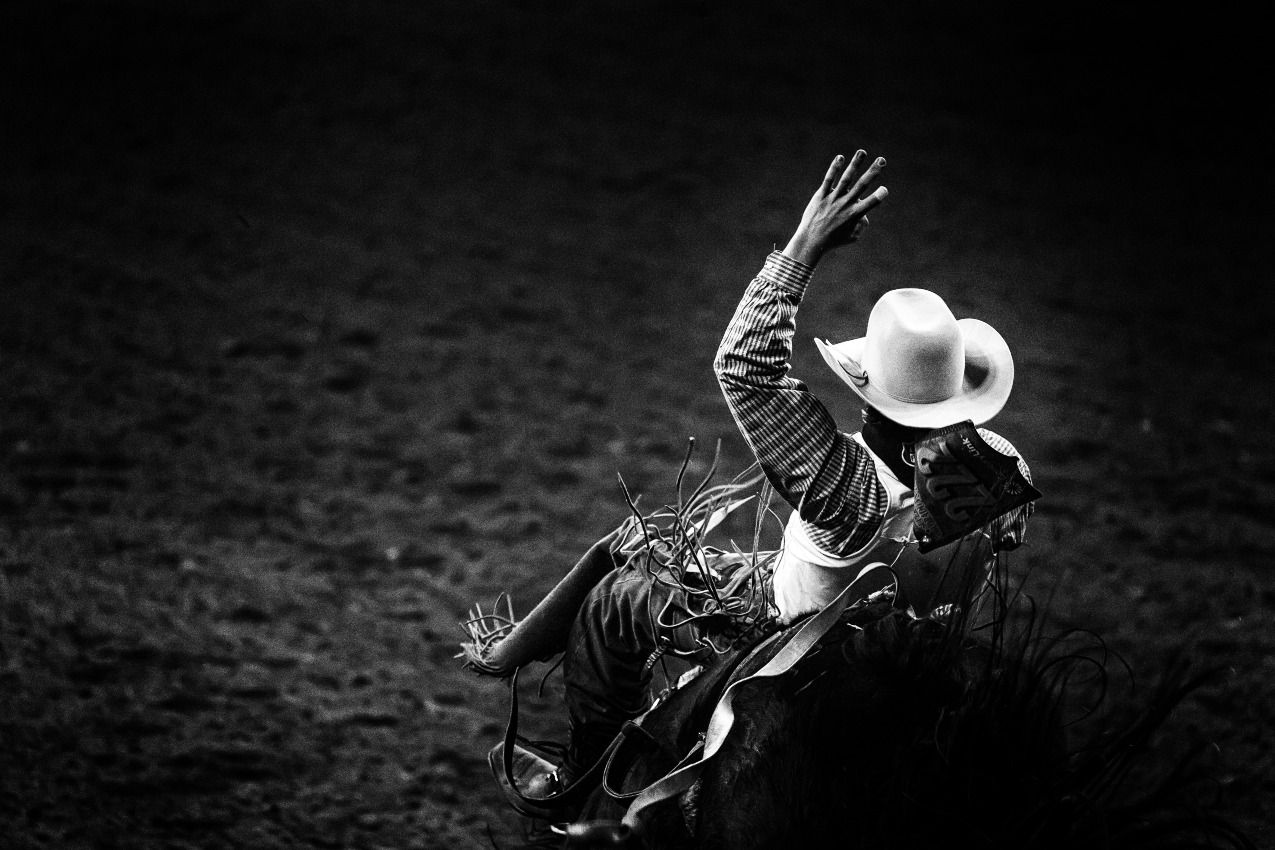 Cowboy at a rodeo