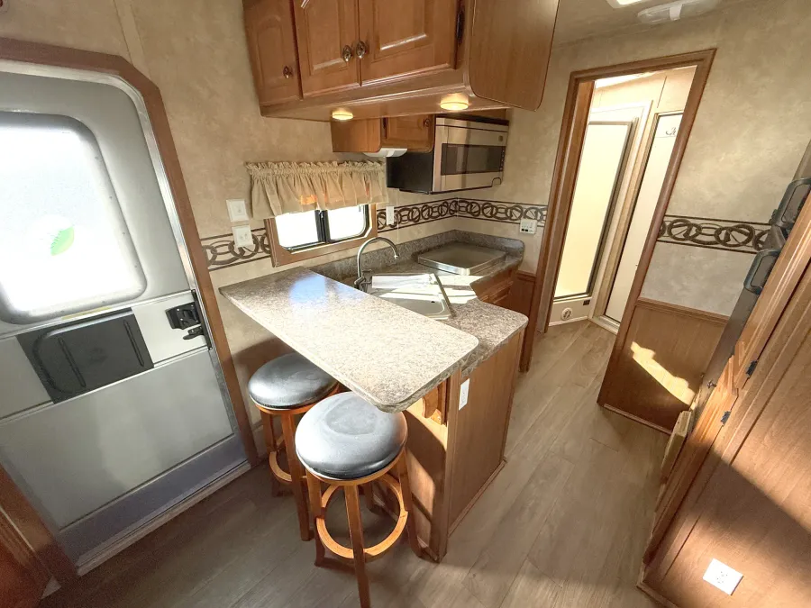 2009 Bison Stratus 3HGNLQ | Photo 8 of 24