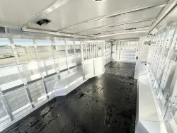 2026 Cimarron Stierwalt Signature Series Stock | Thumbnail Photo 14 of 23