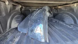 2022 Ford F-350 | Thumbnail Photo 7 of 24