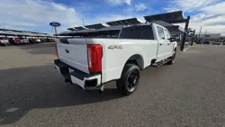 2026 Ford Super Duty F-250 | Thumbnail Photo 10 of 38