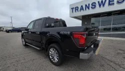 2025 Ford F-150 | Thumbnail Photo 6 of 29