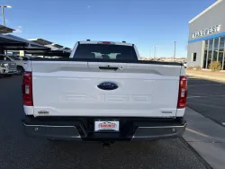 2021 Ford F-150 | Thumbnail Photo 3 of 19