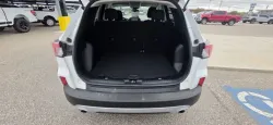 2022 Ford Escape | Thumbnail Photo 8 of 28