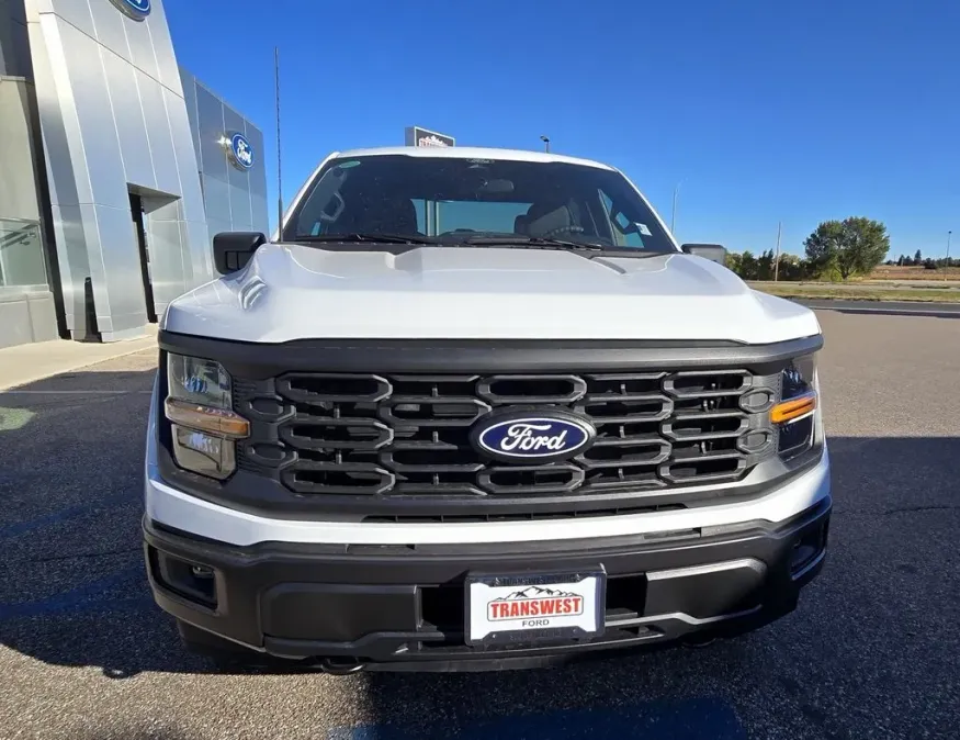 2025 Ford F-150 | Photo 1 of 19