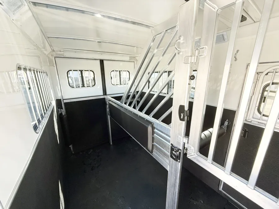 2026 Cimarron Norstar Warmblood | Photo 8 of 18