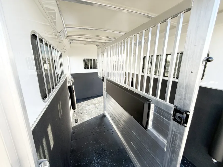 2026 Cimarron Norstar Warmblood | Photo 14 of 20