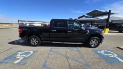 2023 Ford F-150 | Thumbnail Photo 4 of 31