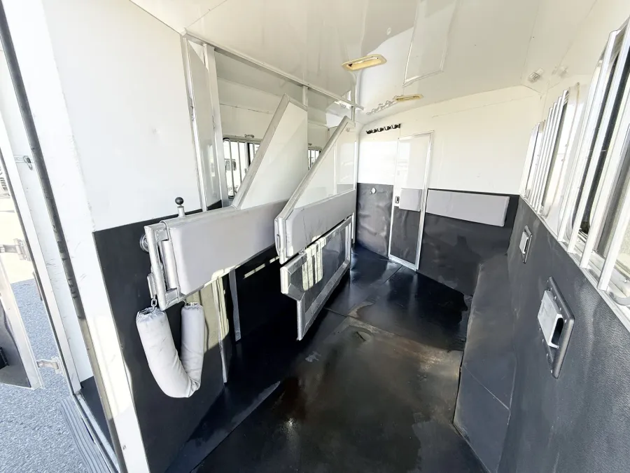 2009 Bison Stratus 3HGNLQ | Photo 18 of 24