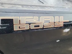 2020 Chevrolet Silverado 1500 LT Trail Boss | Thumbnail Photo 15 of 37