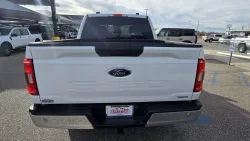 2023 Ford F-150 | Thumbnail Photo 7 of 24