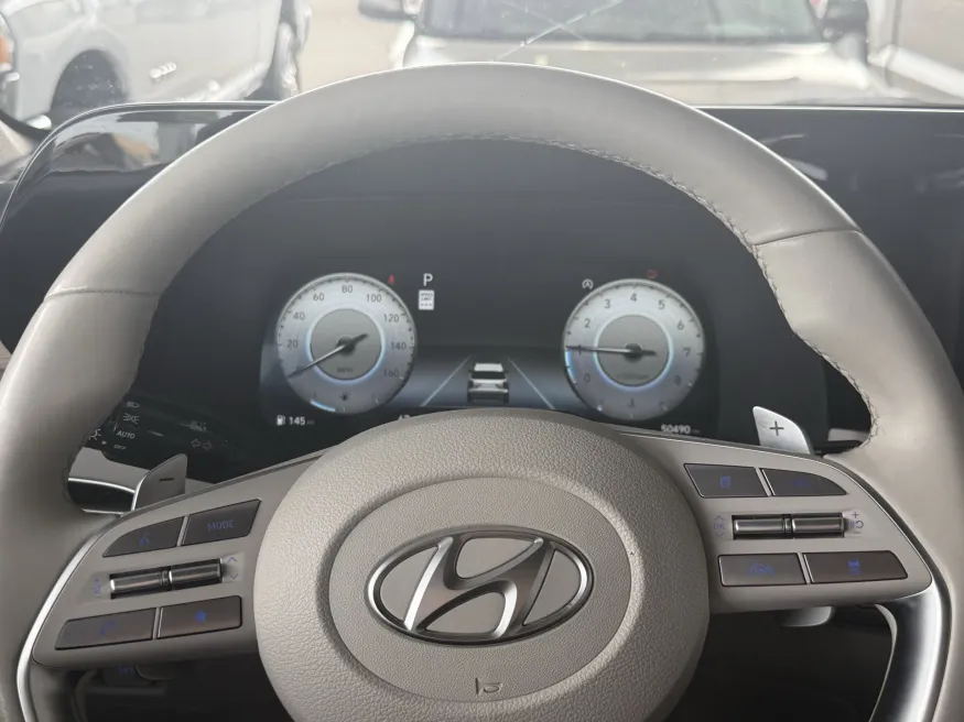 2024 Hyundai Palisade Limited | Photo 21 of 26