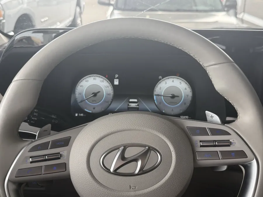 2024 Hyundai Palisade Limited | Photo 21 of 26