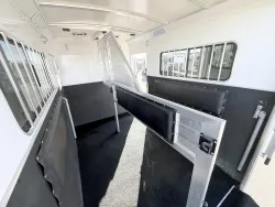 2025 Cimarron Norstar Warmblood 2HBP | Thumbnail Photo 13 of 17