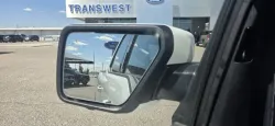 2026 Ford F-150 | Thumbnail Photo 14 of 35