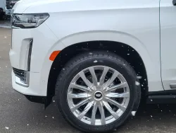 2024 Cadillac Escalade 4WD Premium Luxury | Thumbnail Photo 8 of 33