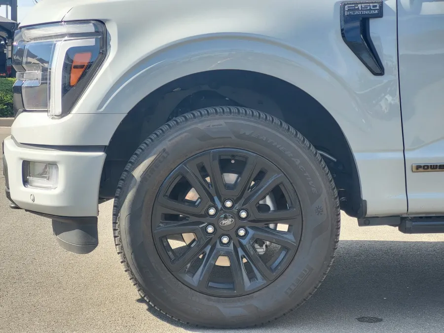 2024 Ford F-150 Platinum | Photo 8 of 26