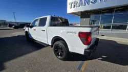 2025 Ford F-150 | Thumbnail Photo 3 of 19