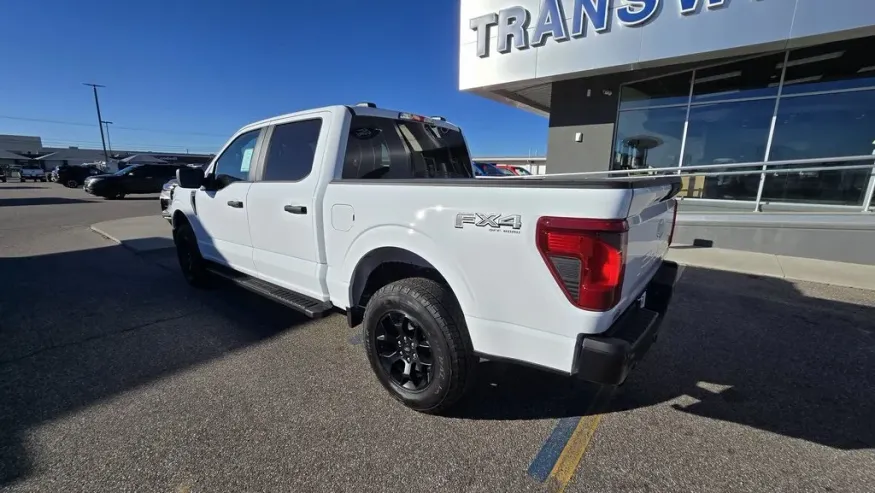 2025 Ford F-150 | Photo 3 of 19