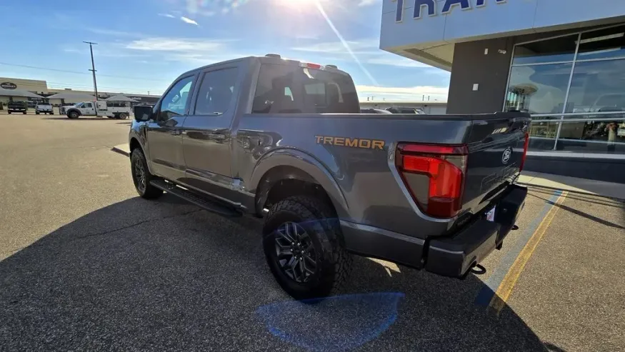 2025 Ford F-150 | Photo 5 of 31