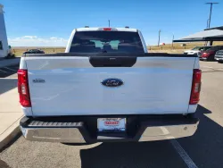 2023 Ford F-150 | Thumbnail Photo 5 of 20