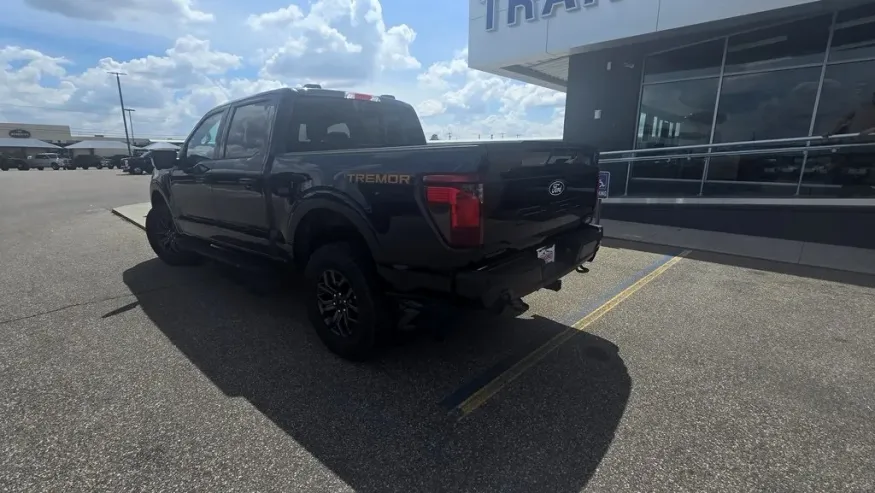 2025 Ford F-150 | Photo 25 of 30