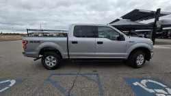 2020 Ford F-150 | Thumbnail Photo 4 of 29