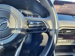 2024 Mazda CX-90 3.3 Turbo Premium | Thumbnail Photo 24 of 30