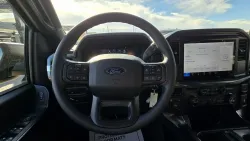 2025 Ford F-150 | Thumbnail Photo 15 of 22