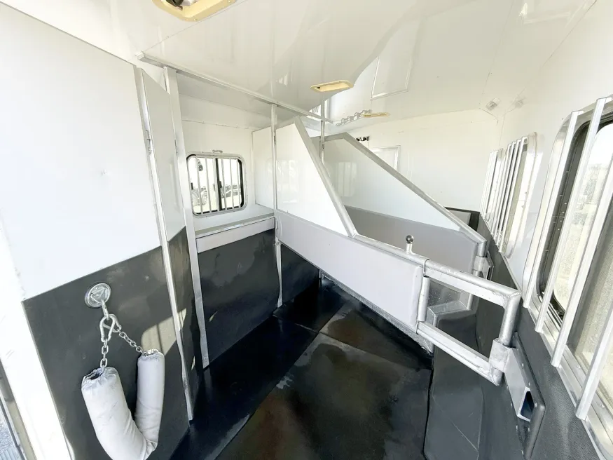 2009 Bison Stratus 3HGNLQ | Photo 17 of 24