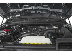 2026 Ford F-150 | Thumbnail Photo 8 of 13