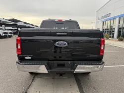 2023 Ford F-150 XL | Thumbnail Photo 3 of 13