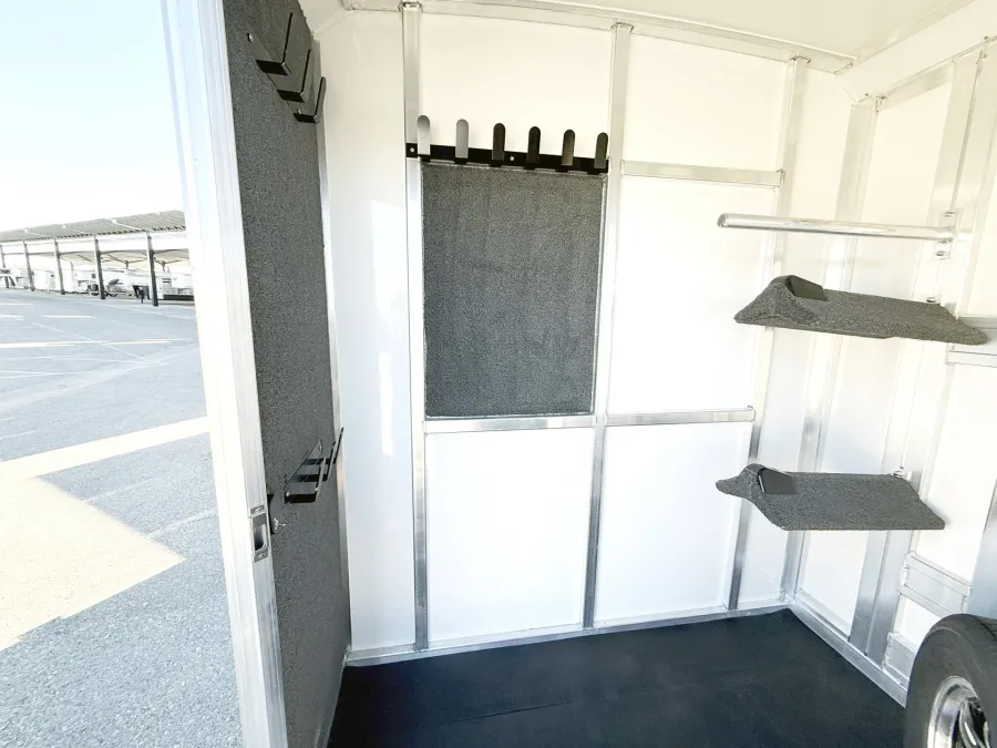 2026 Cimarron Norstar Warmblood | Photo 6 of 18