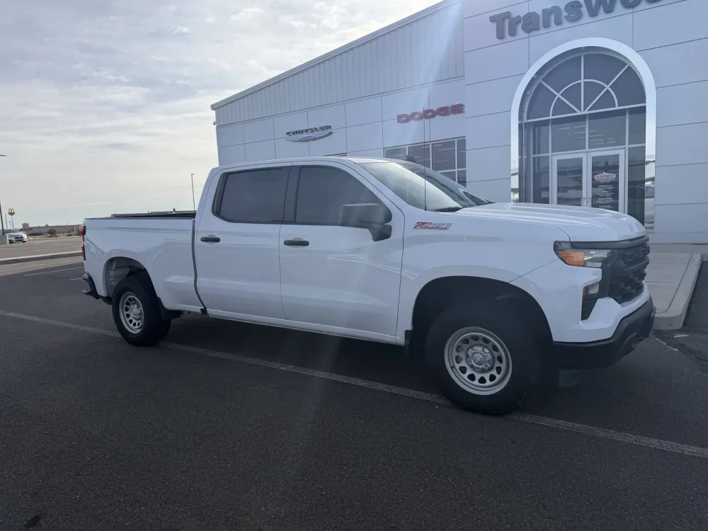 2022 Chevrolet Silverado 1500 Work Truck's photo