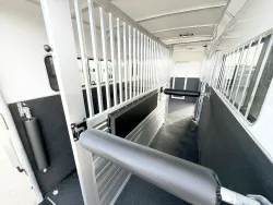 2026 Cimarron Norstar Warmblood 2 + 1 | Thumbnail Photo 12 of 20