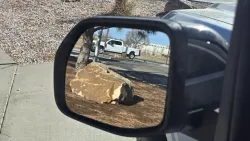 2026 Ford Maverick | Thumbnail Photo 11 of 28